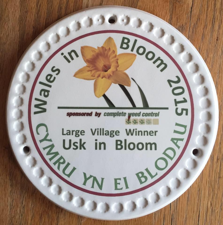 Usk Wins Wales in Bloom!