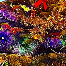 Christmas, New Year and Advent Breaks 2026 into 27